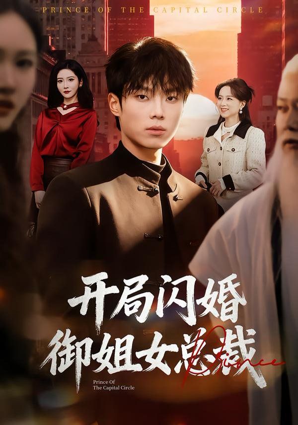 开局闪婚御姐女总裁(全集)