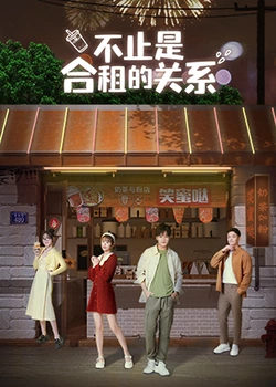 不只是合租关系第13集