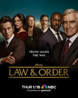 法律与秩序 第二十三季第4集