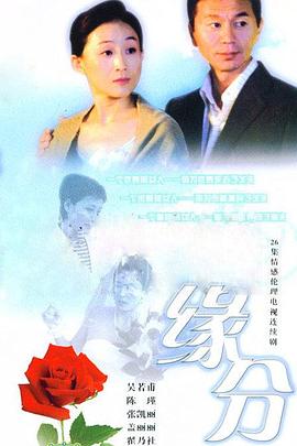 缘分的天空第11集