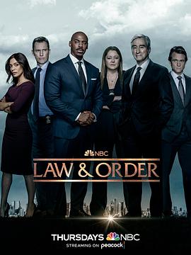 法律与秩序第二十二季第15集